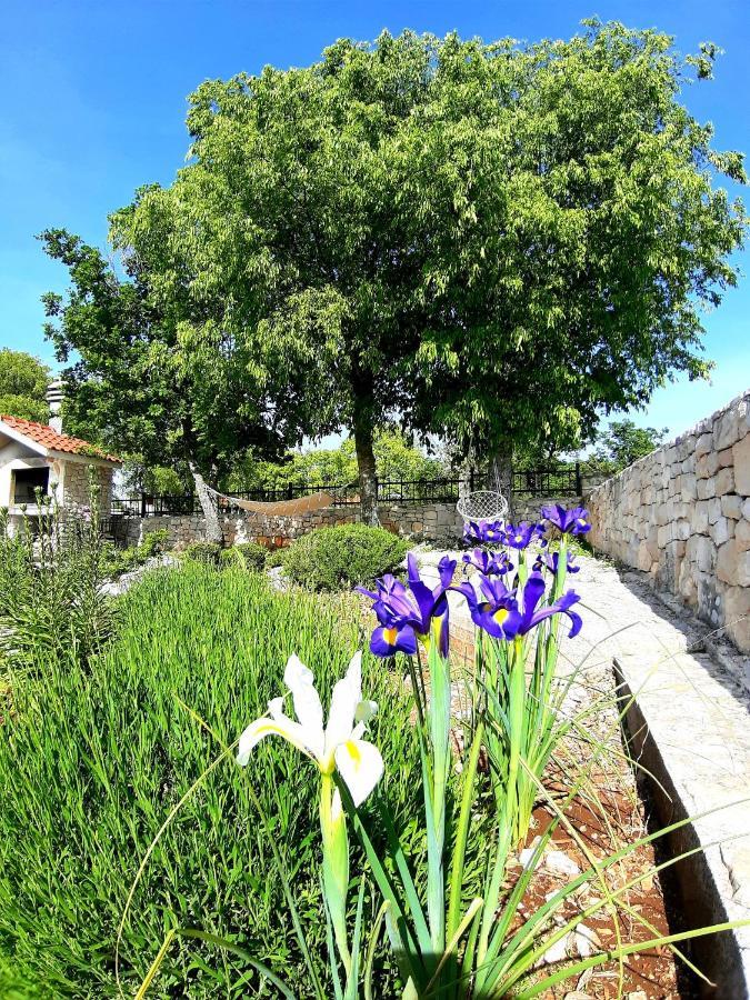Relaxing Dalmatian House In Village Ljubitovica Exterior photo